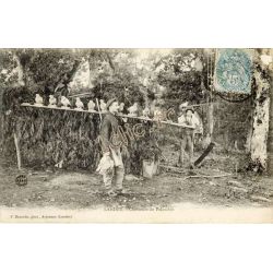 Folklore
