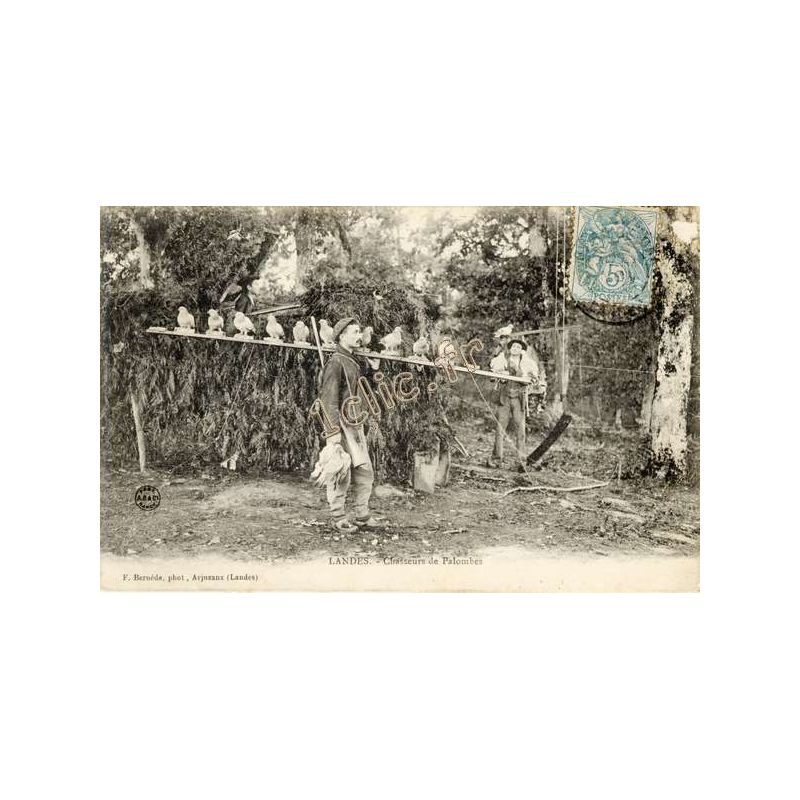 Folklore