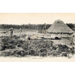 Folklore