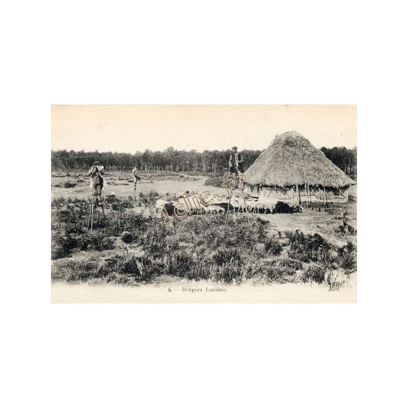 Folklore