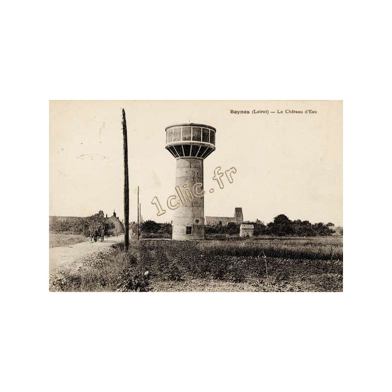 Boynes