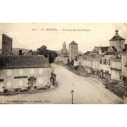 Martel