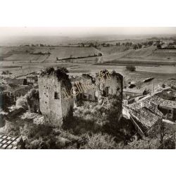 Mongaillard