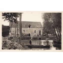 Baune