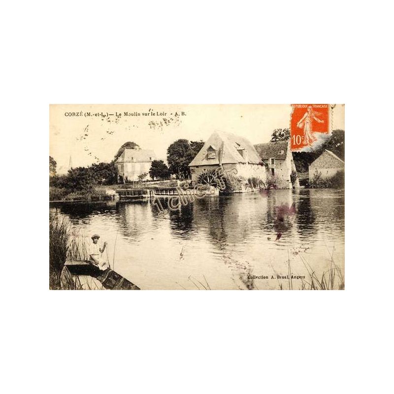 Corze