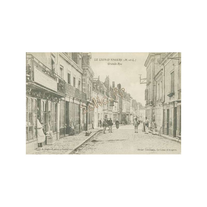 Lion-D'Angers