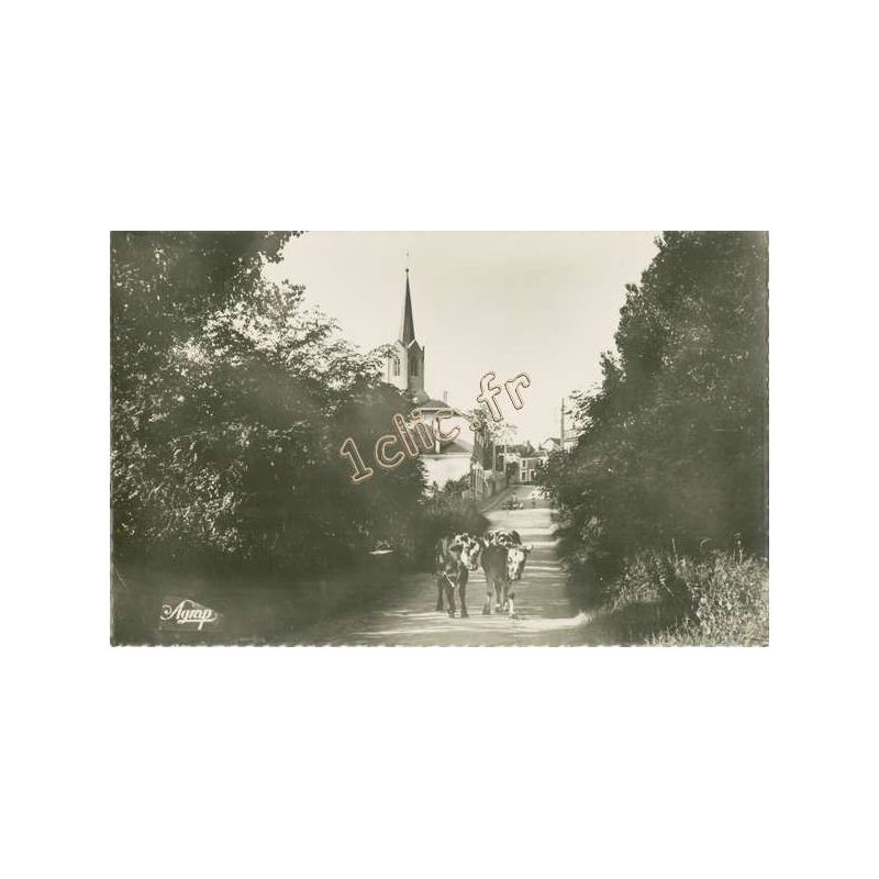 Saint-Germain-Sur-Moine