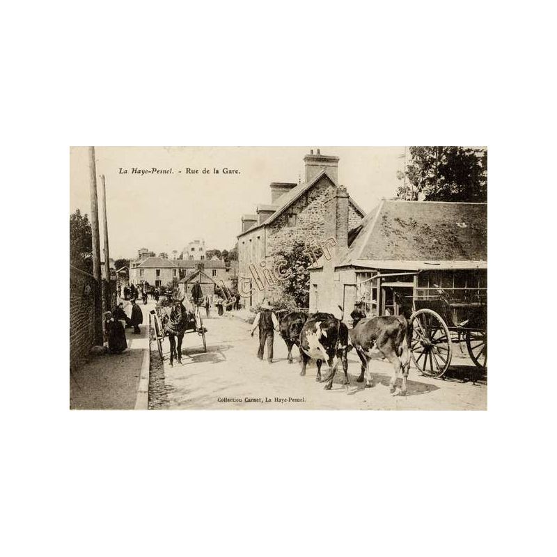 La Haye-Pesnel