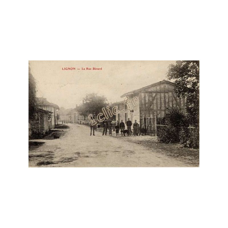 Lignon