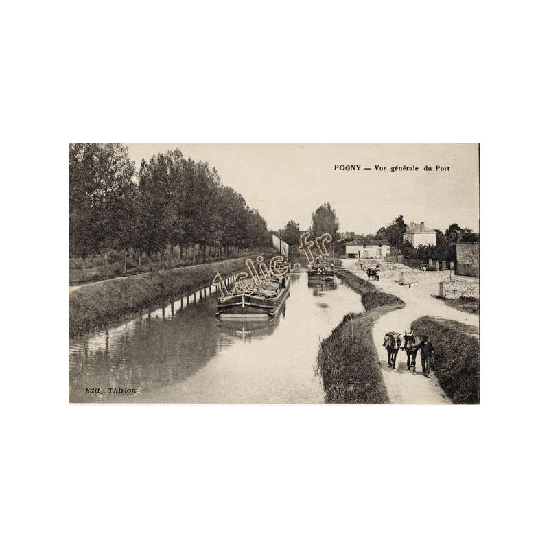 Pogny
