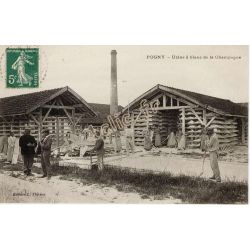 Pogny