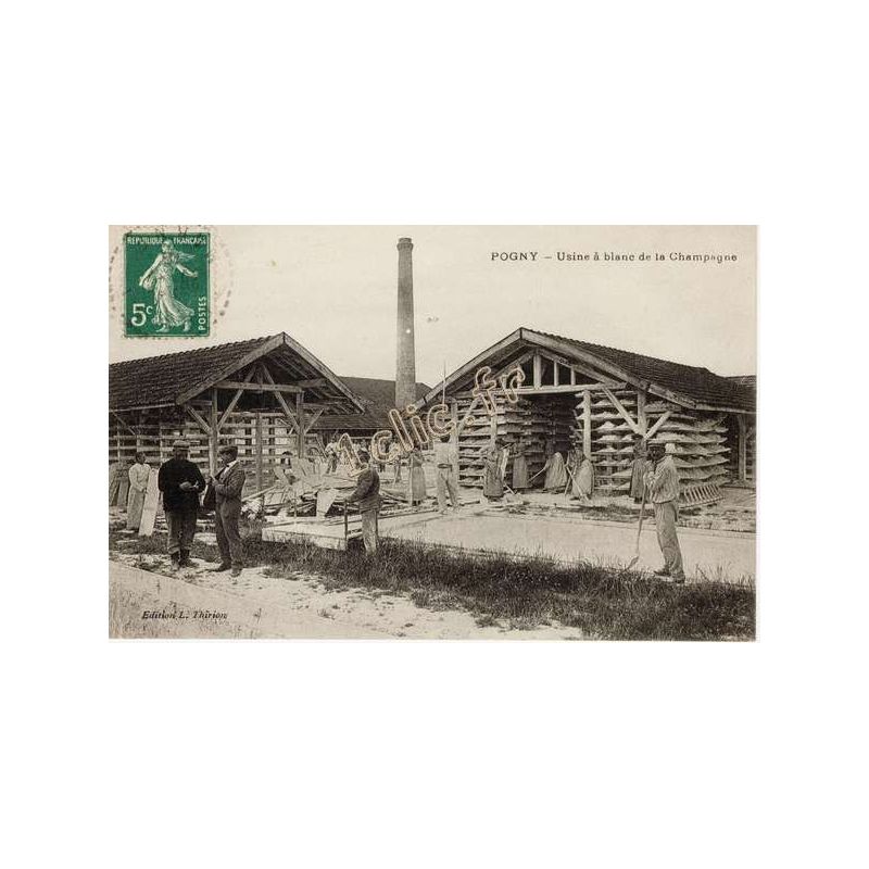 Pogny