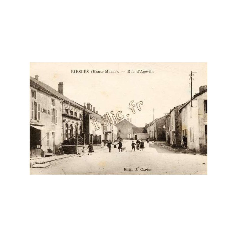 Biesles