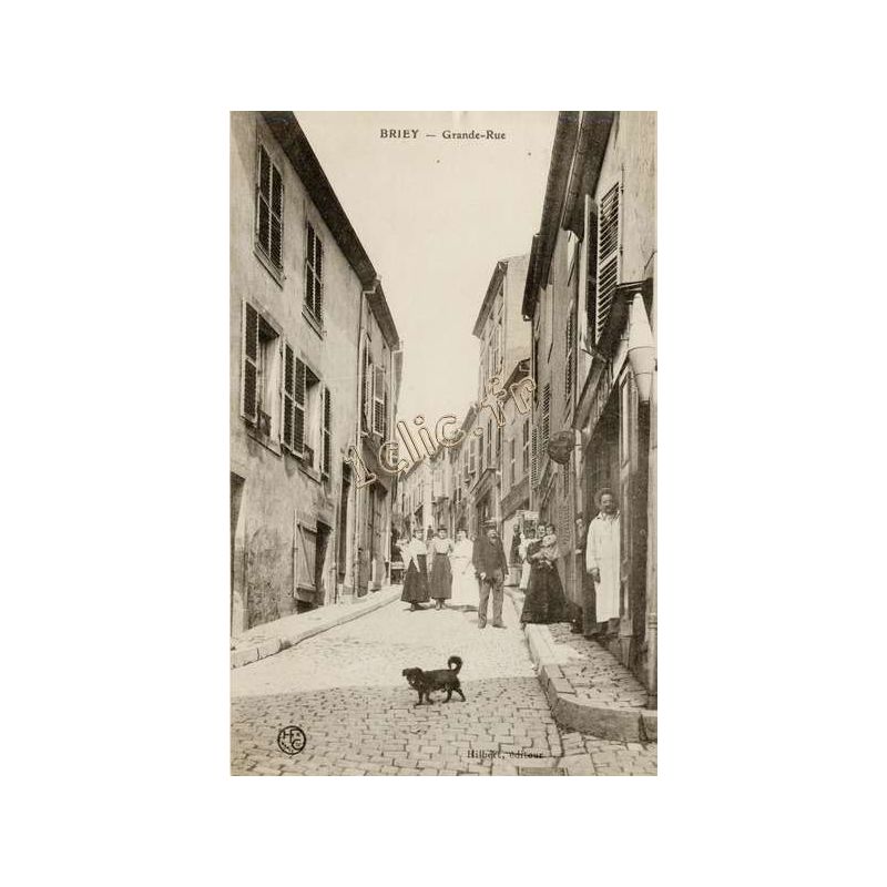 Briey