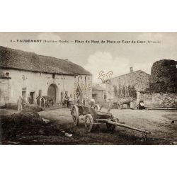 Vaudemont