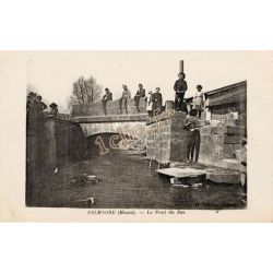 Salmagne