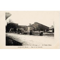 Salmagne