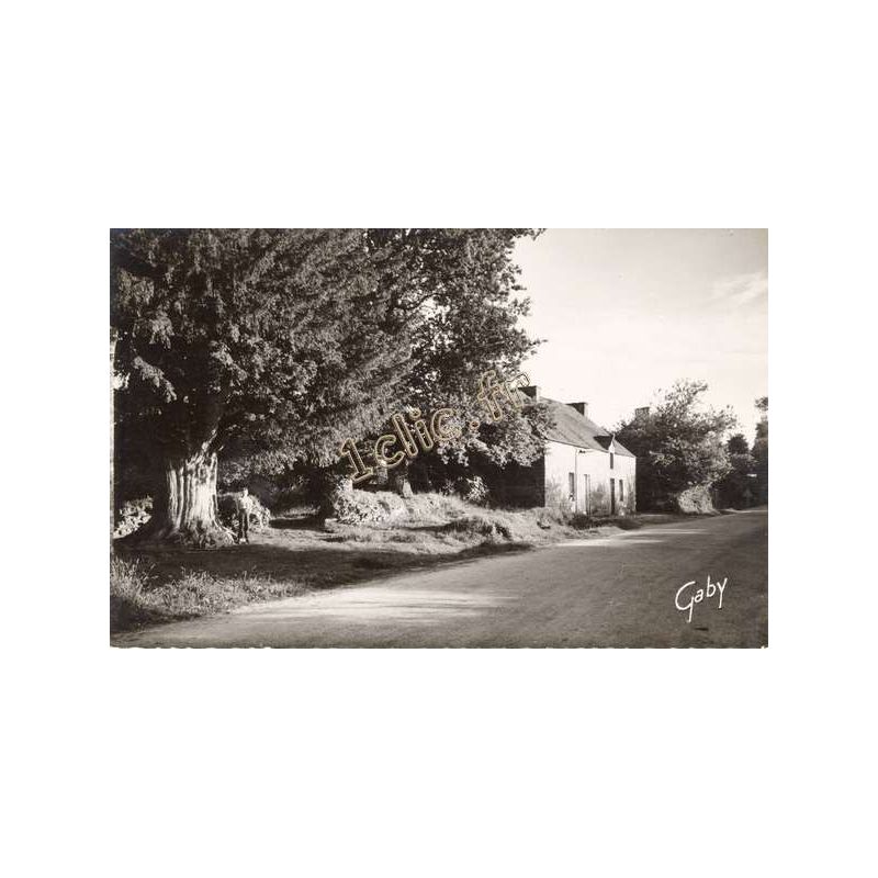 Cruguel