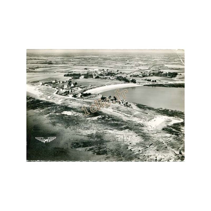 Damgan