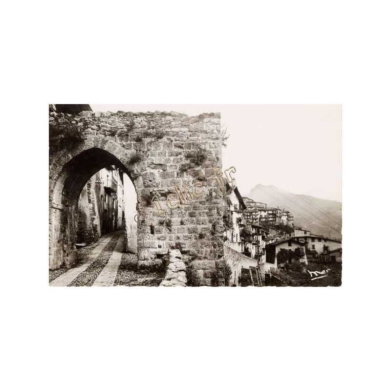 Tende