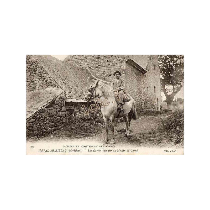Noyal-Muzillac
