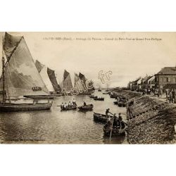Gravelines