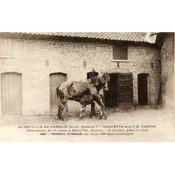 Neuville-En-Ferrain