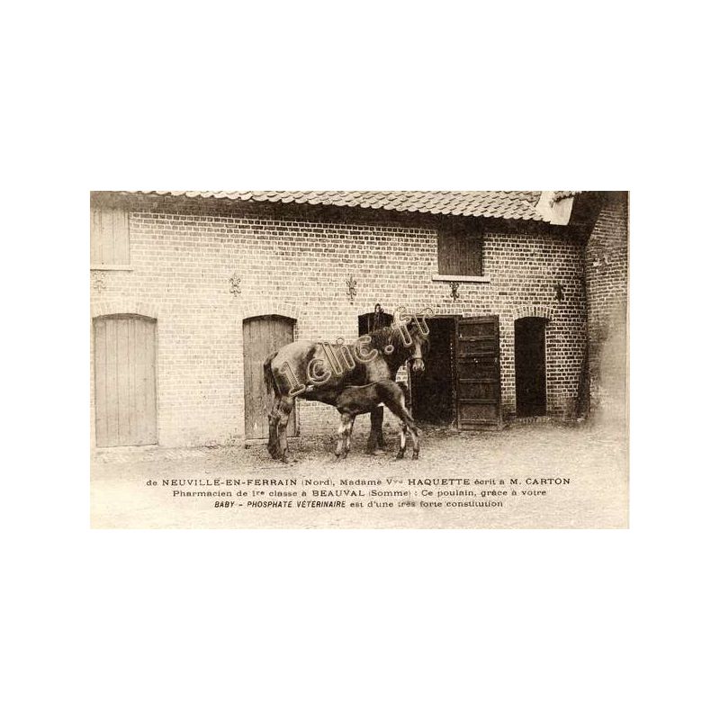 Neuville-En-Ferrain