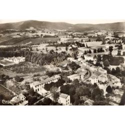 Palladuc