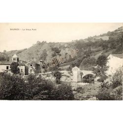 Saurier