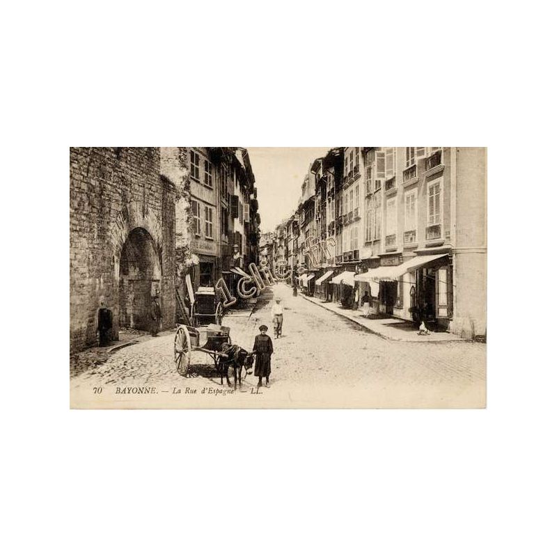 Bayonne