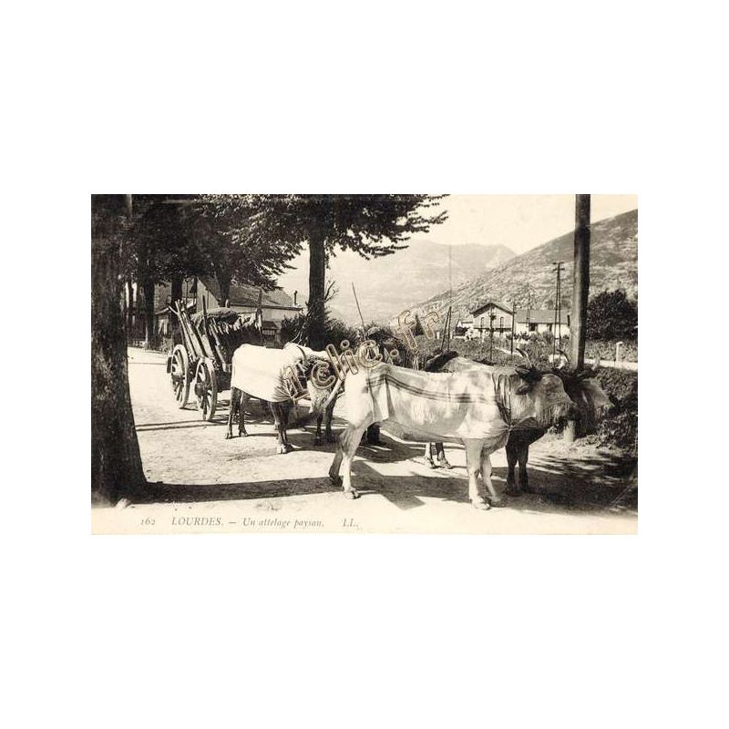 Lourdes