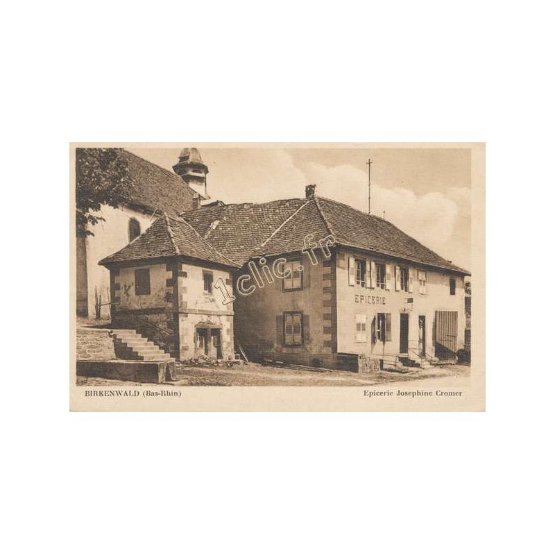 Birkenwald