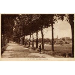 Kaltenhausen