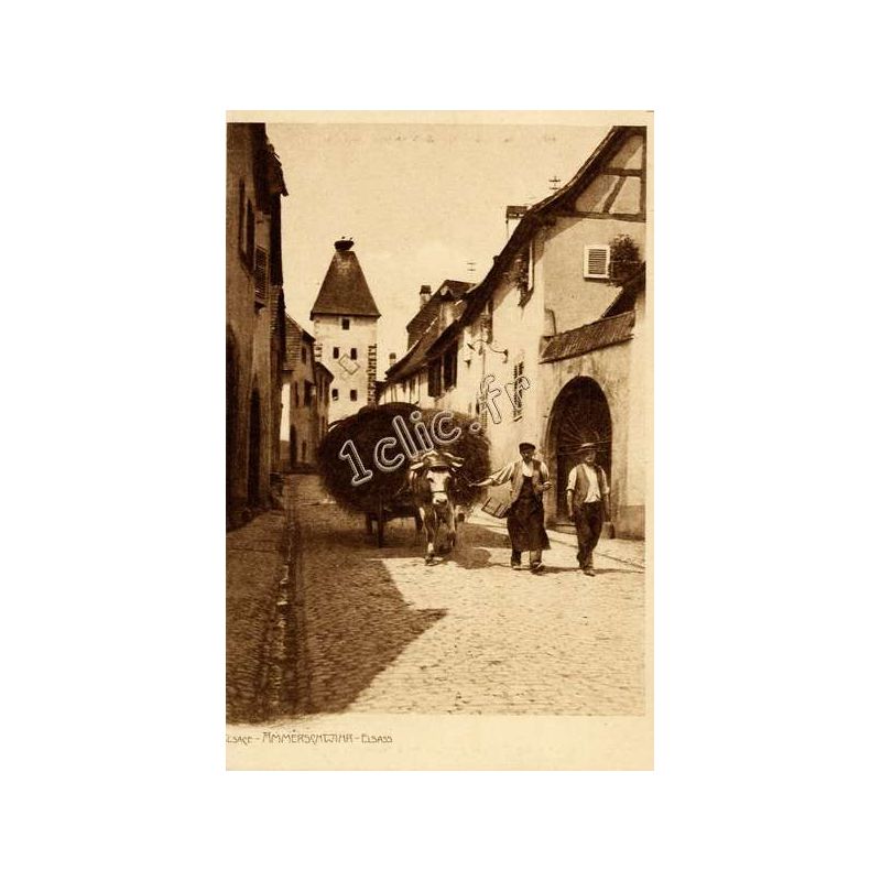 Ammerschwihr