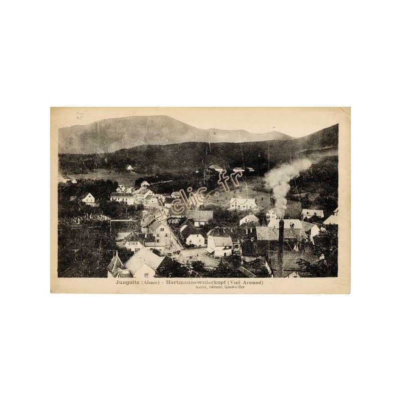 Jungholtz