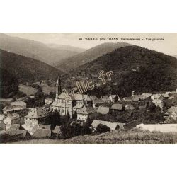 Willer