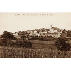 Aluze
