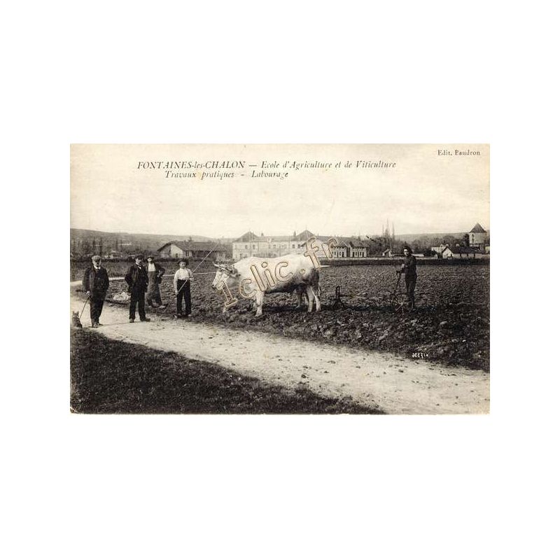 Fontaines