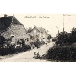 Saillenard