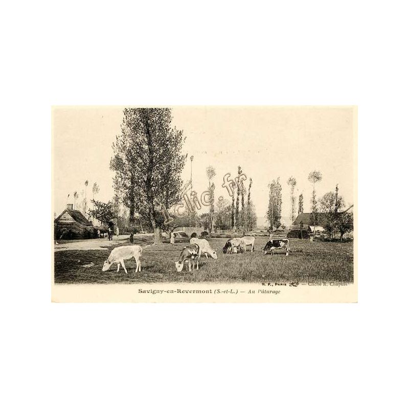 Savigny-En-Revermont