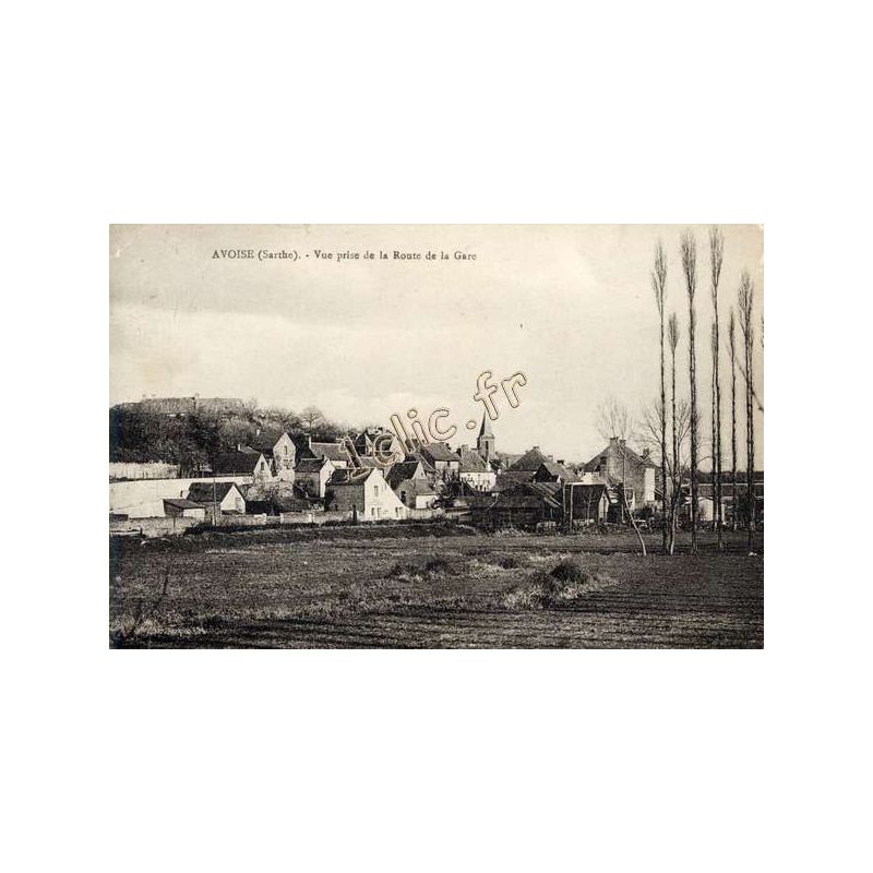 Avoise