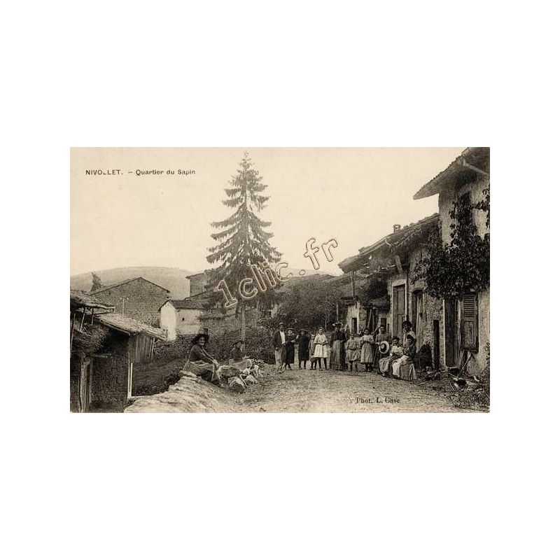 Nivollet