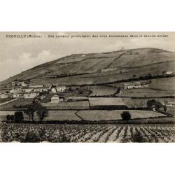 BROUILLY