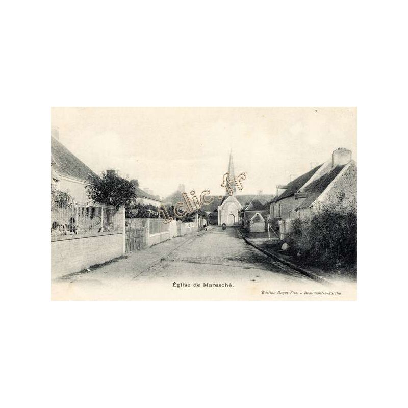 Maresche