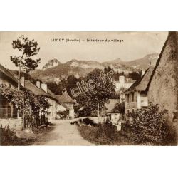 Lucey