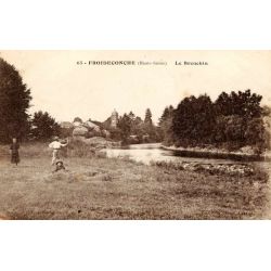 FROIDECONCHE