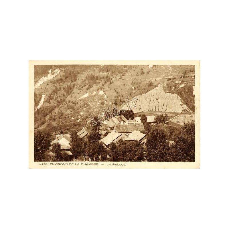 Pallud