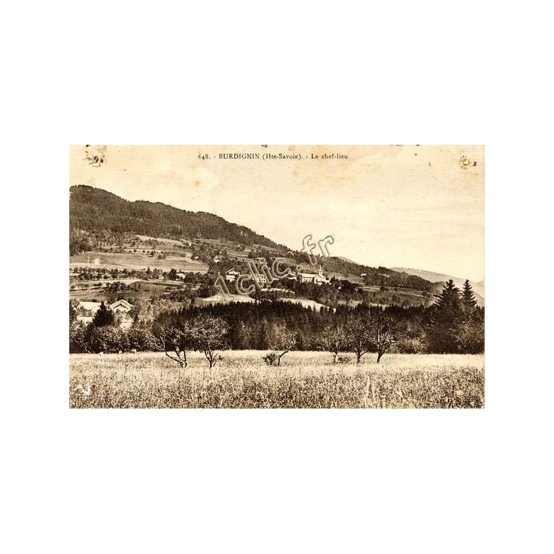 Burdignin