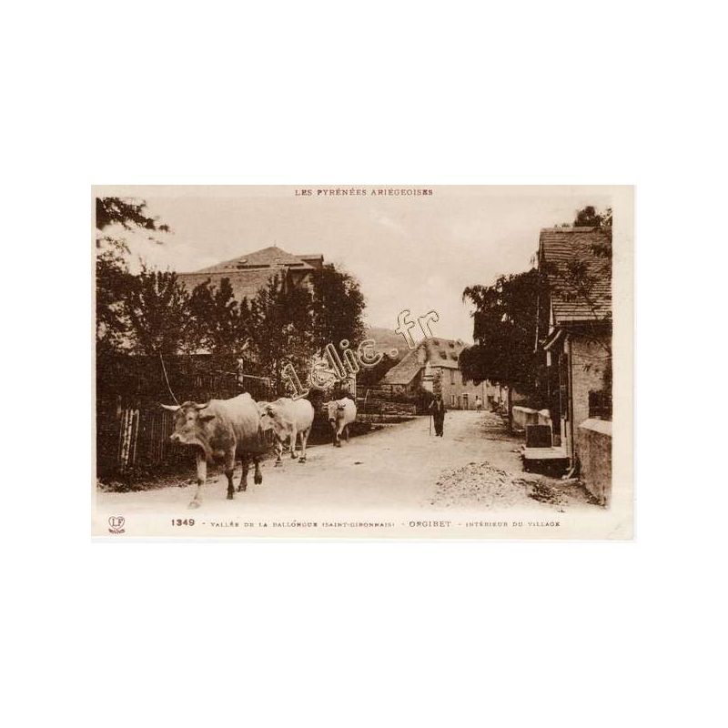 Orgibet